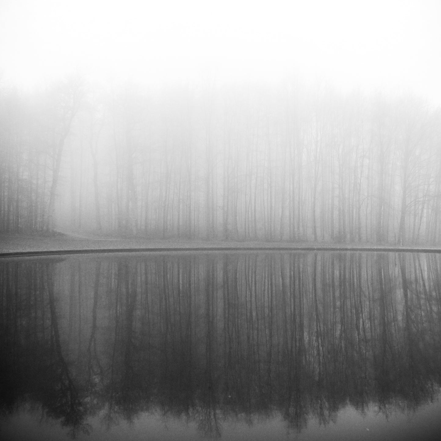 Foggy Reflection